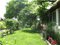 ed54b23e-Picture 805.jpg